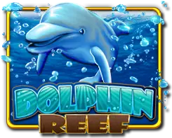 DOLPHIN REEF — game at A9Today